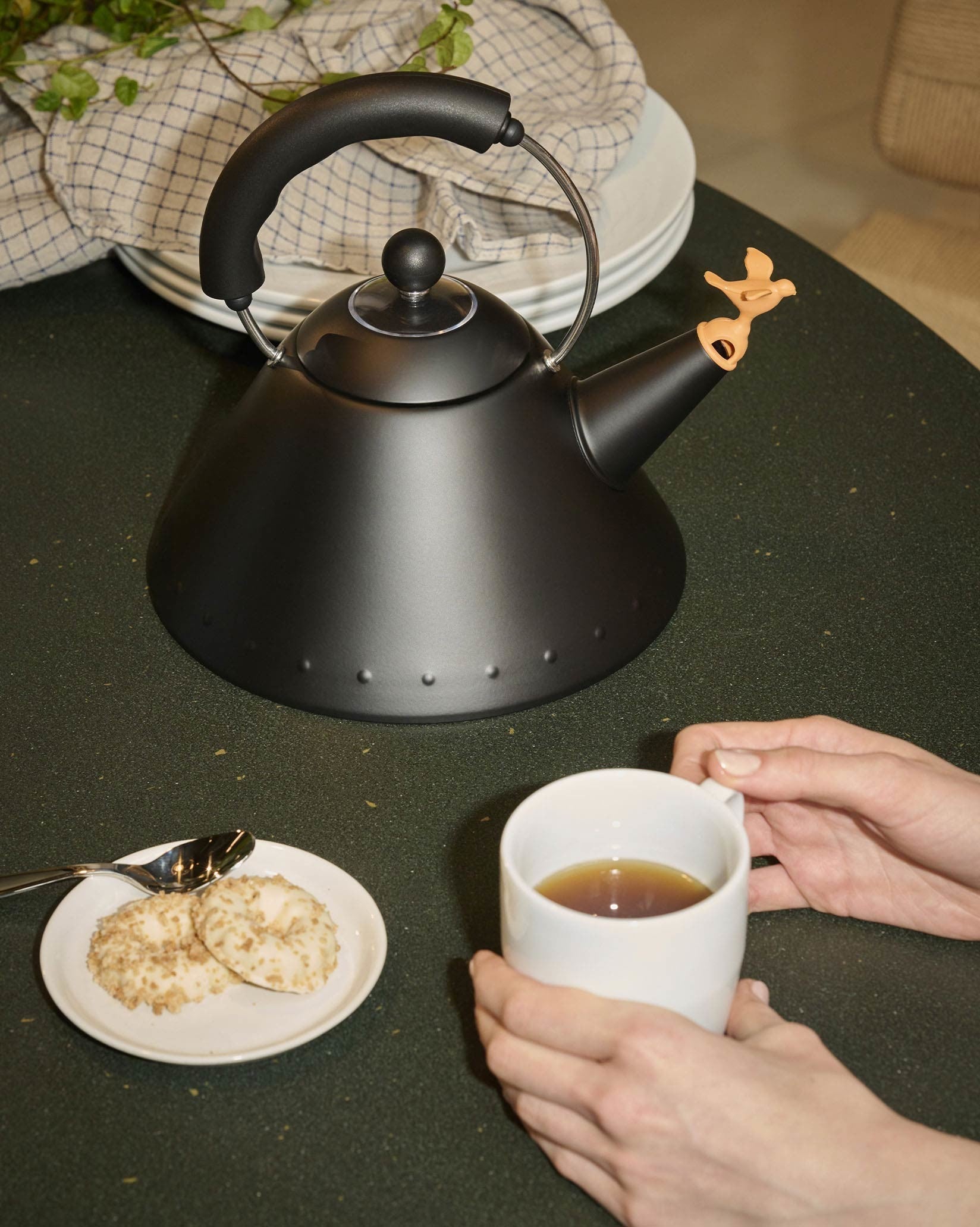 Alessi 9093 Bb Kettle