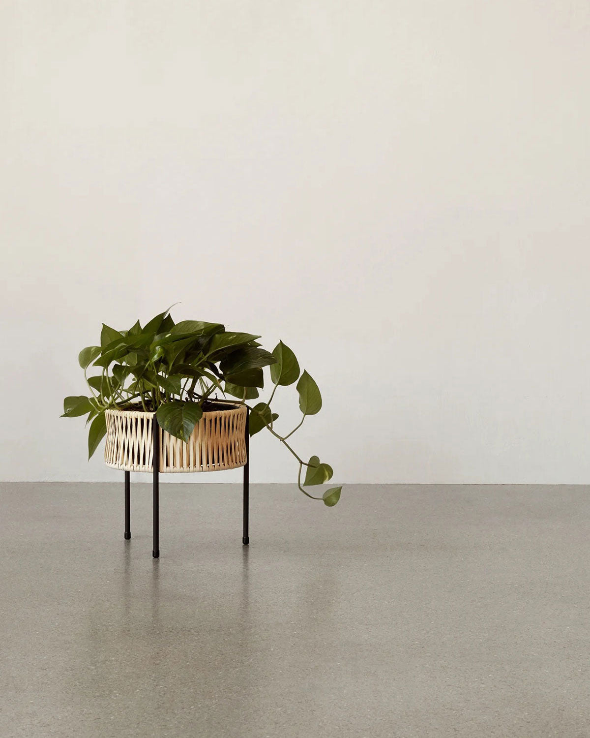 Planters & Vases