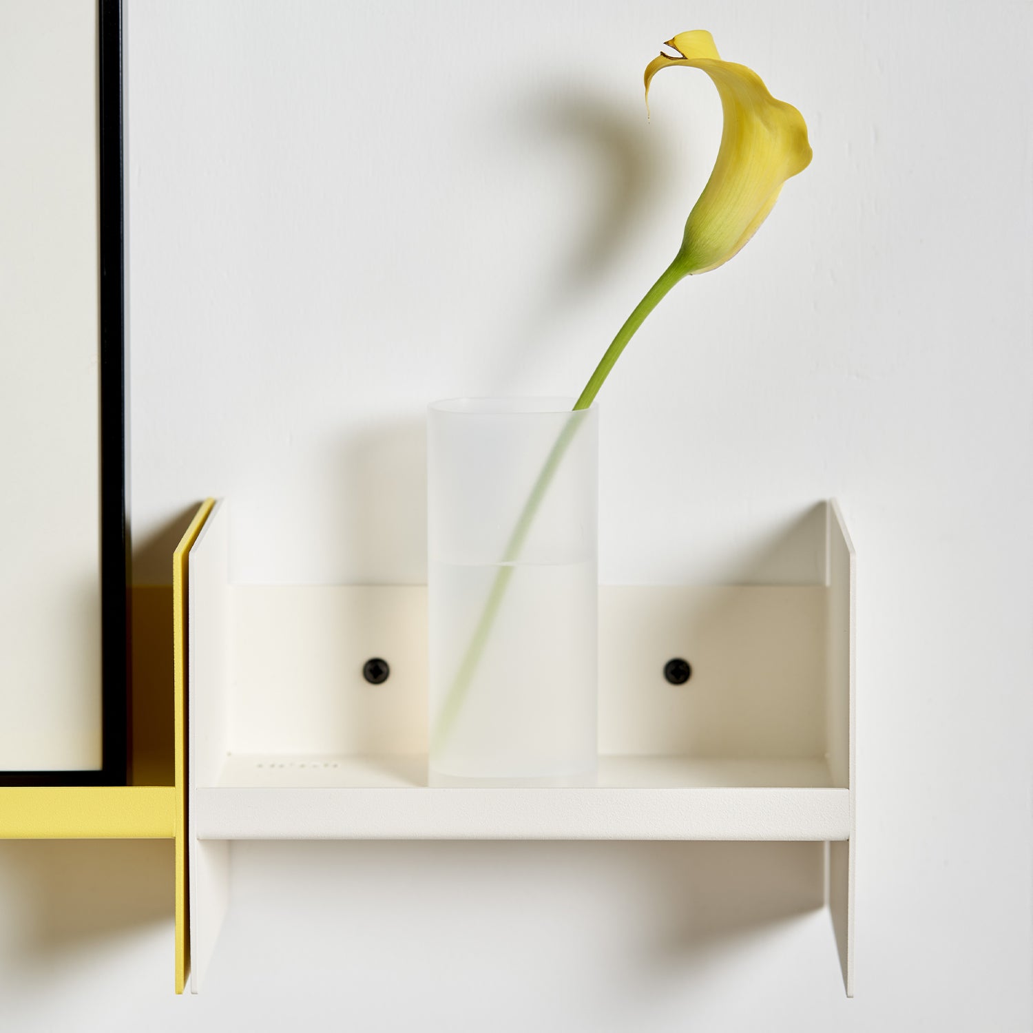 TIPTOE PLI Slim Steel Wall Shelf - 20 To 60cm