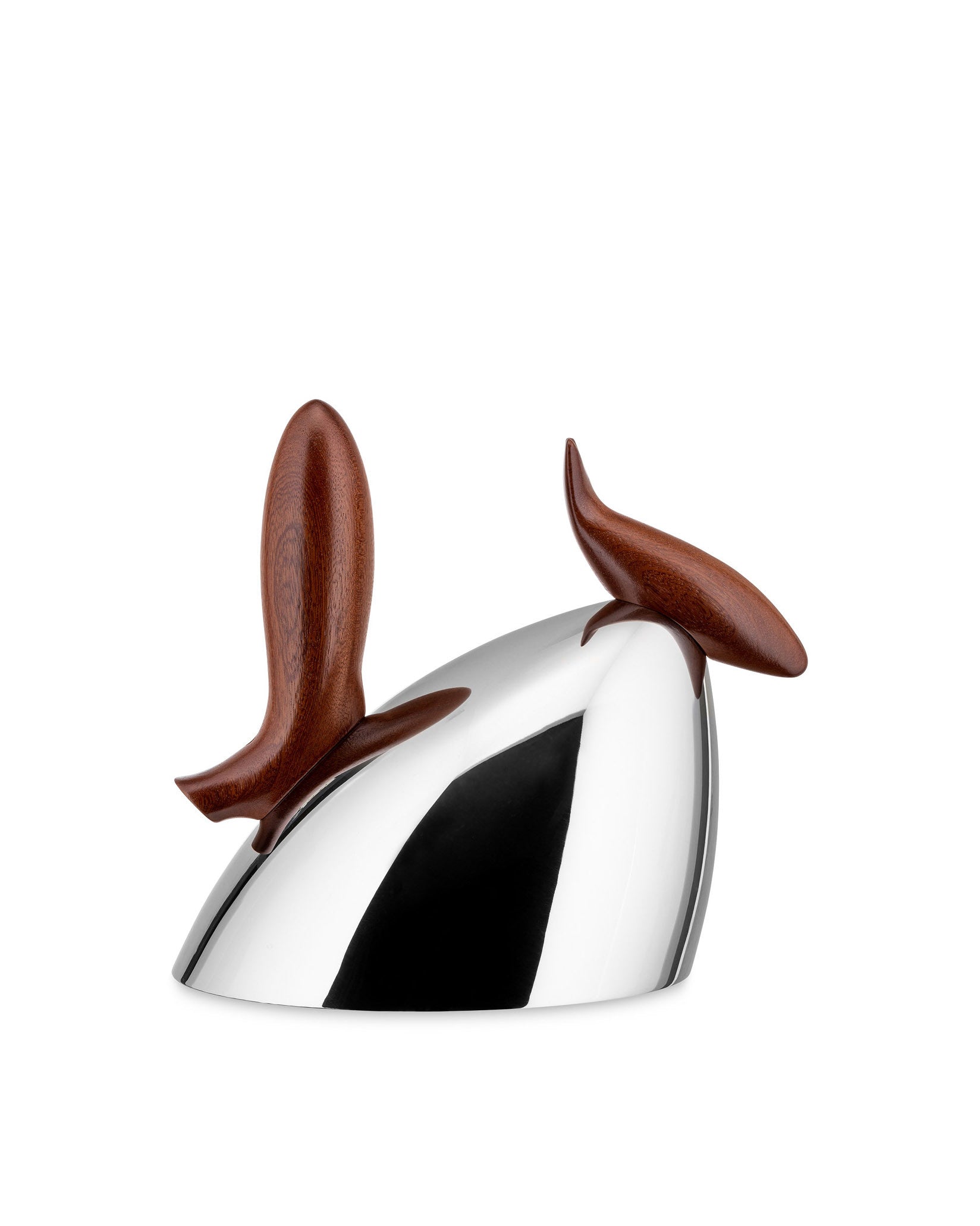 Alessi Pito Kettle
