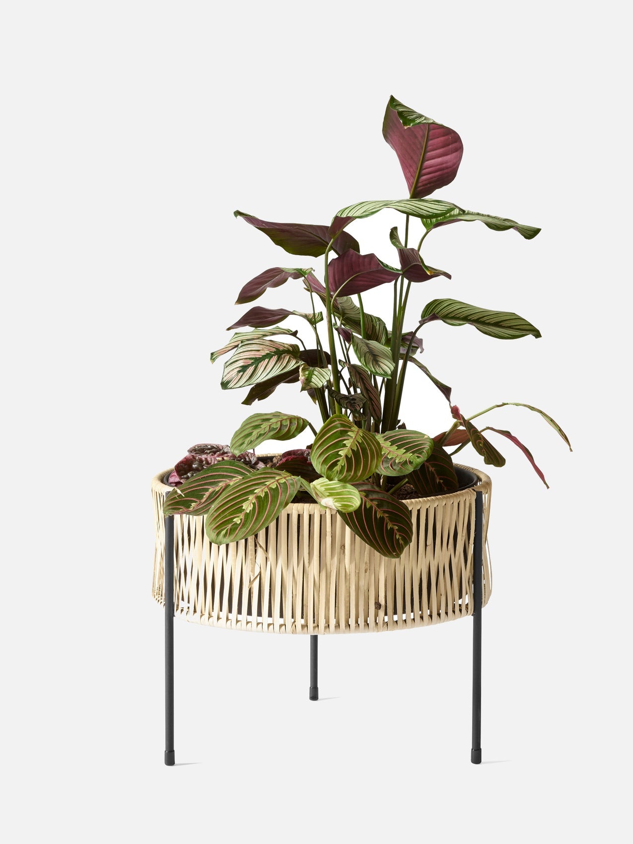 Audo Umanoff Planter
