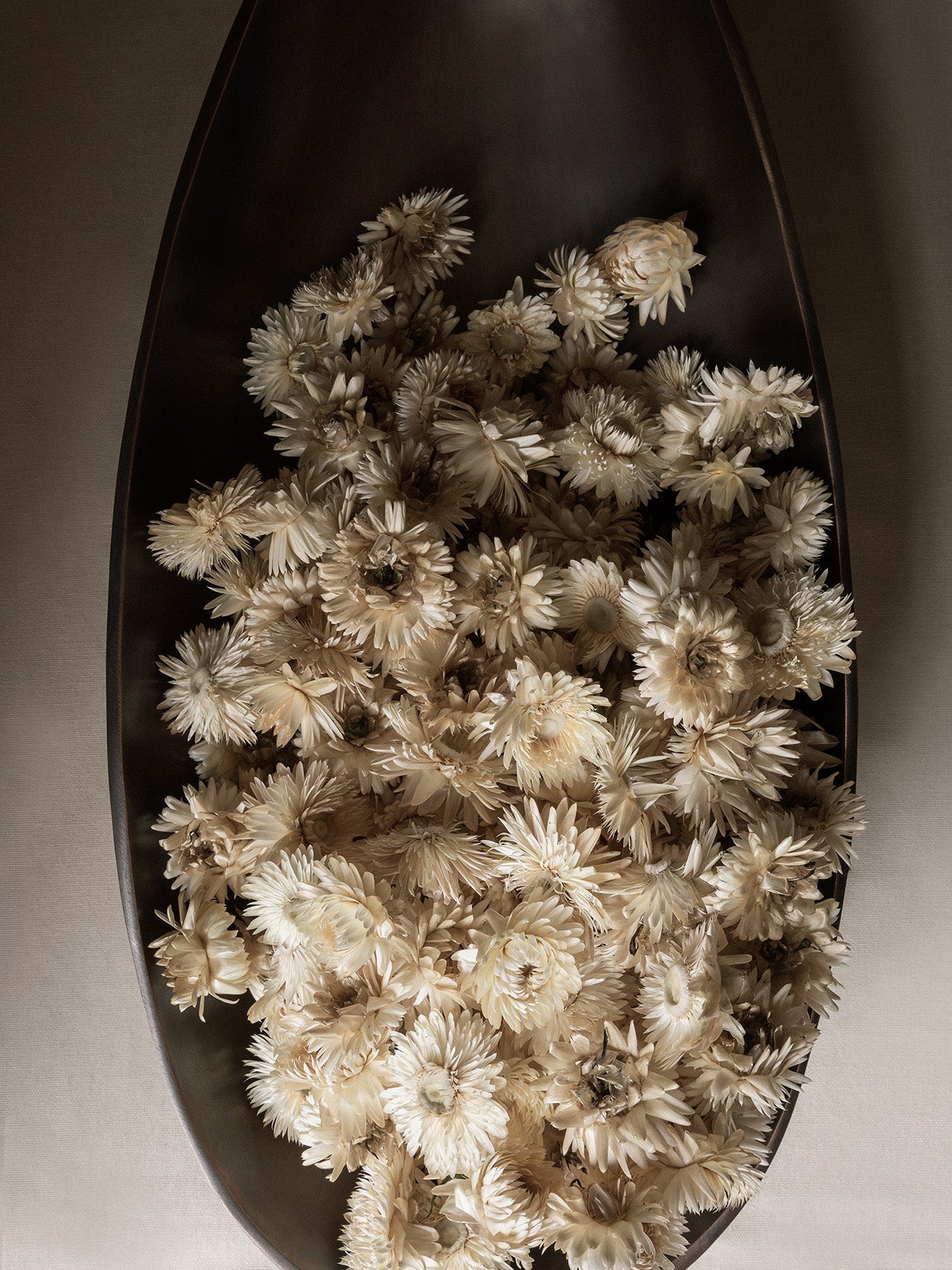 Audo Pavot Centerpiece