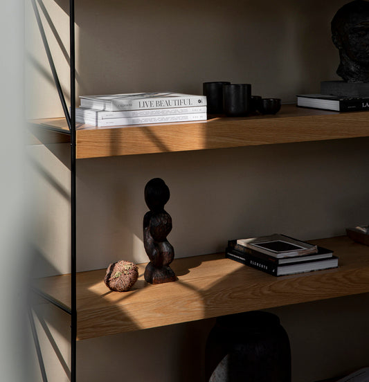 Audo Zet Storage System, 60in, Back Panel and Magazine Shelf