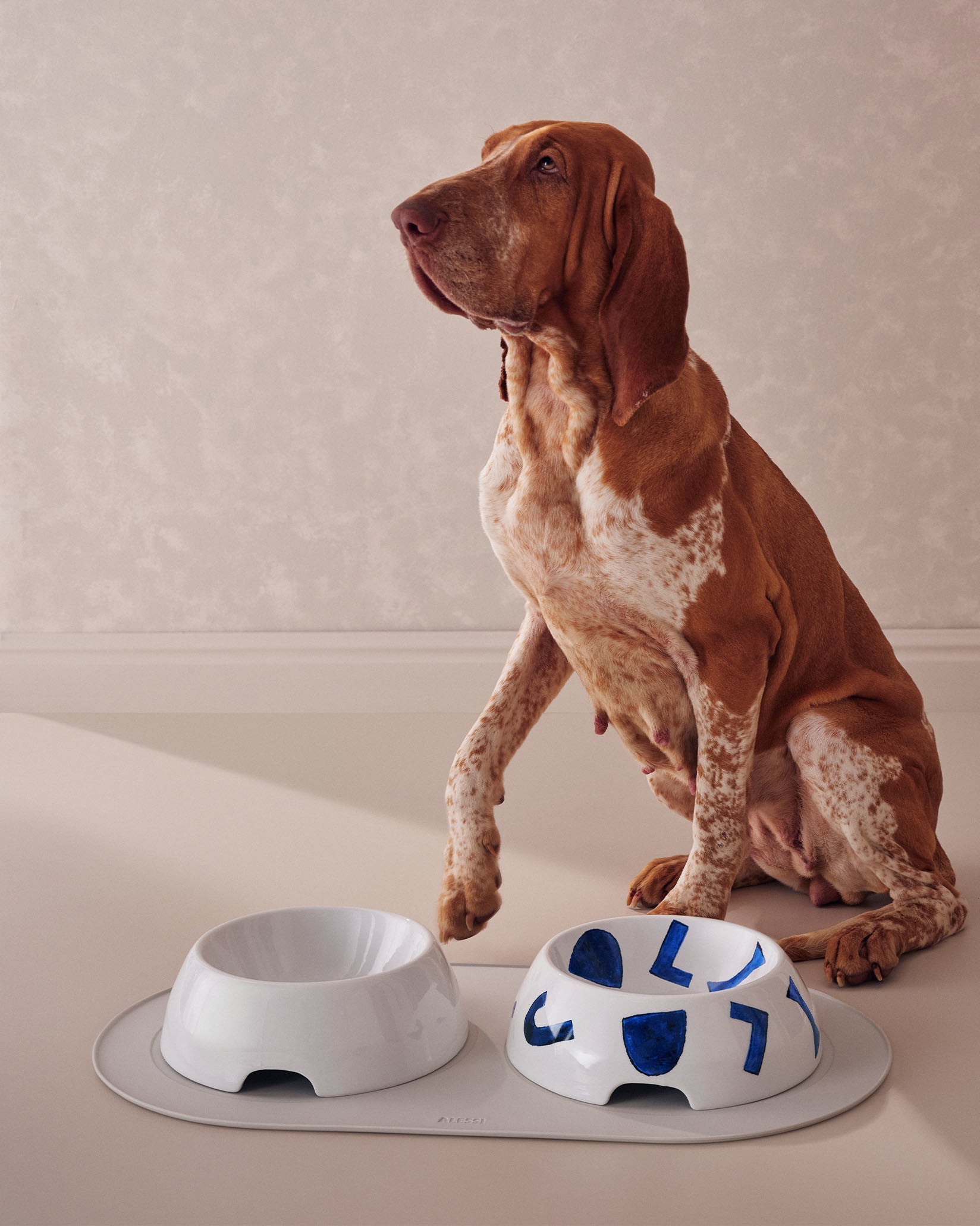Alessi Itsumo Pet Feeding Mat