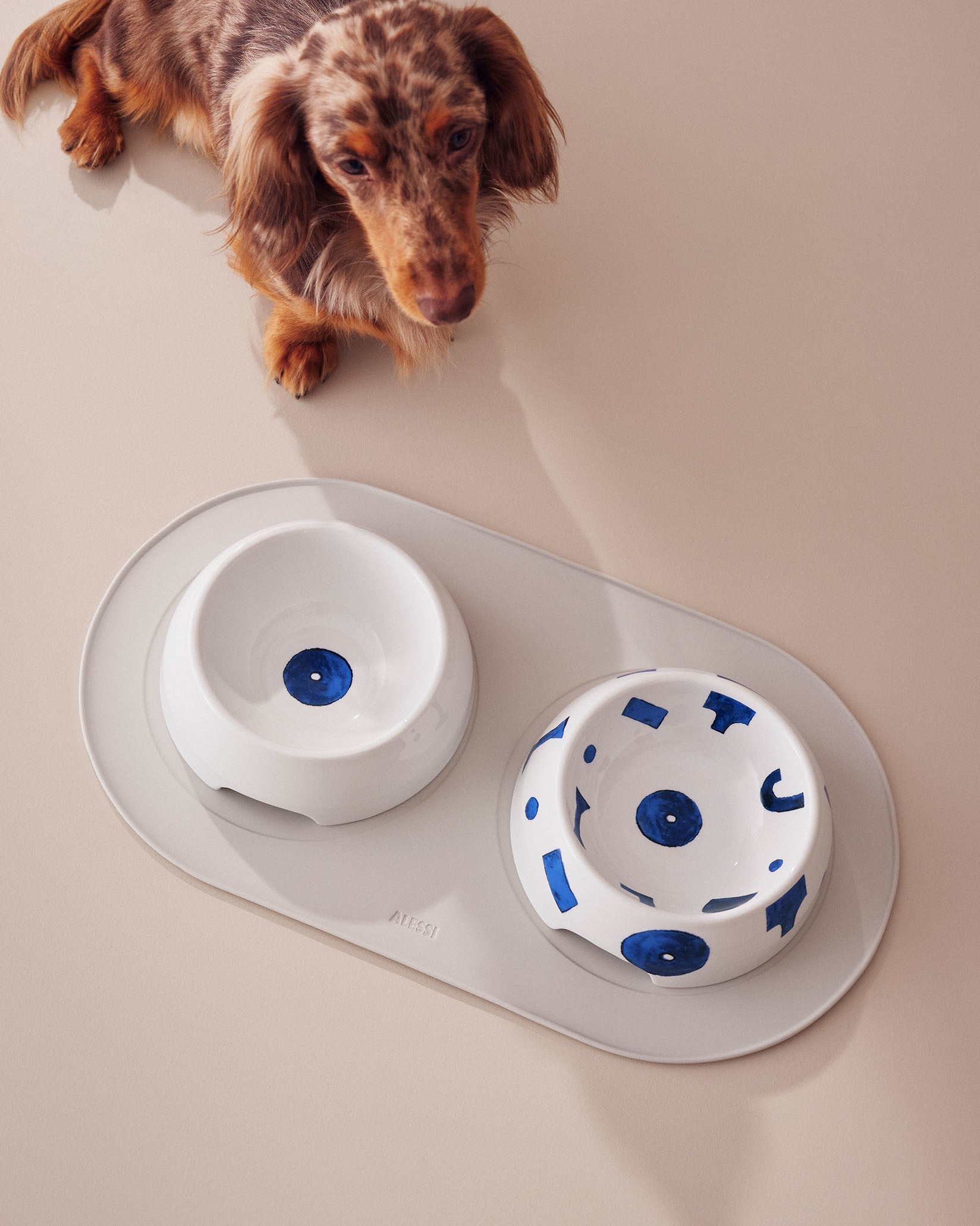 Alessi Itsumo Pet Yunoki Ware Dog Water Bowl