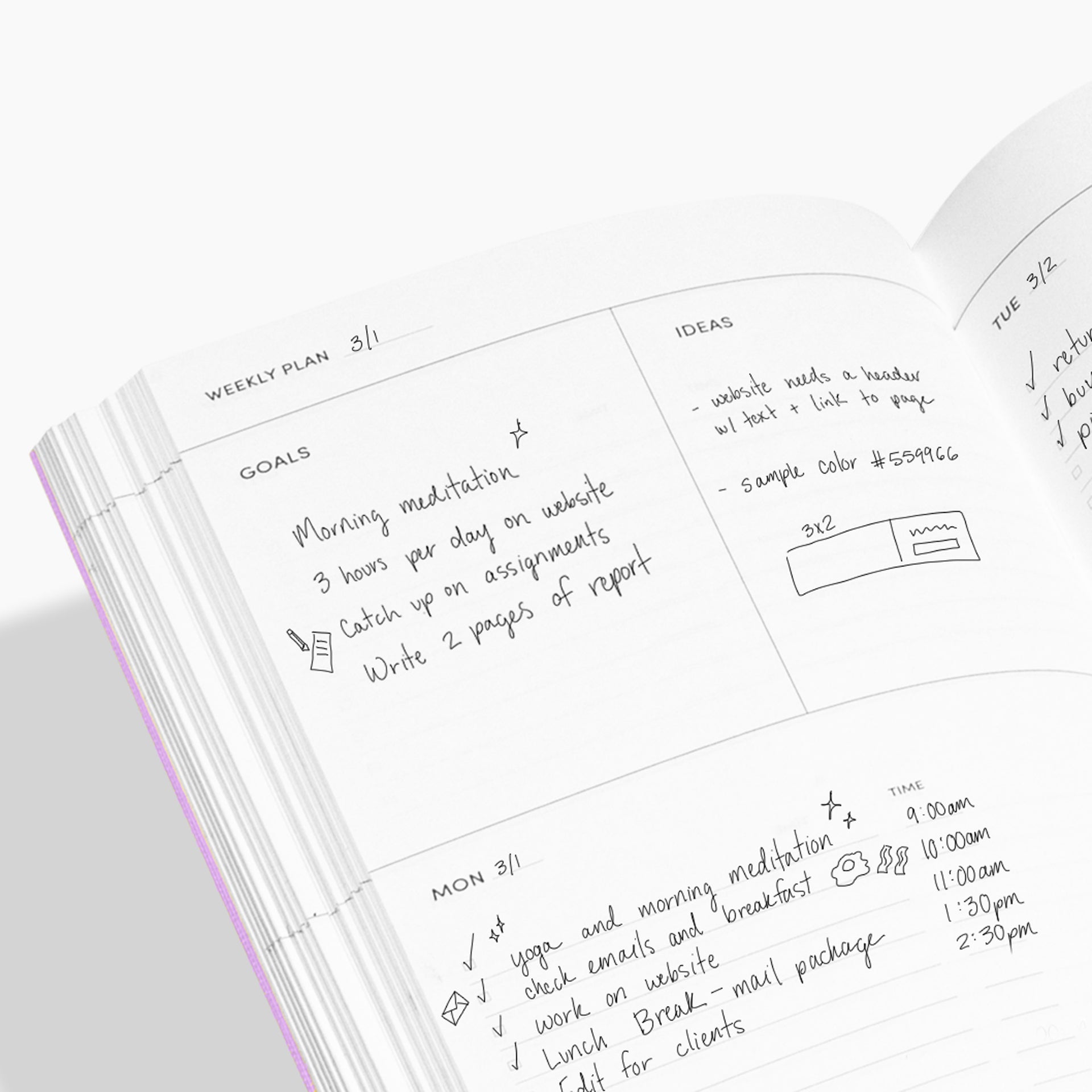 Poketo Concept Planner in Circle Combo