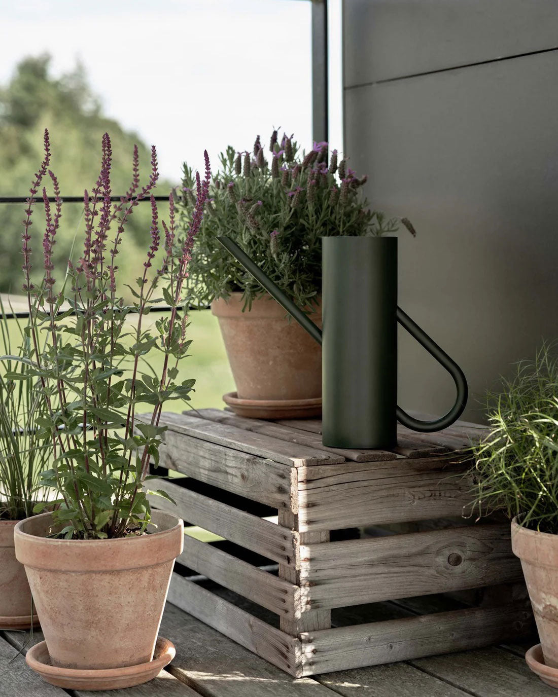 Stelton Bloom Watering Can