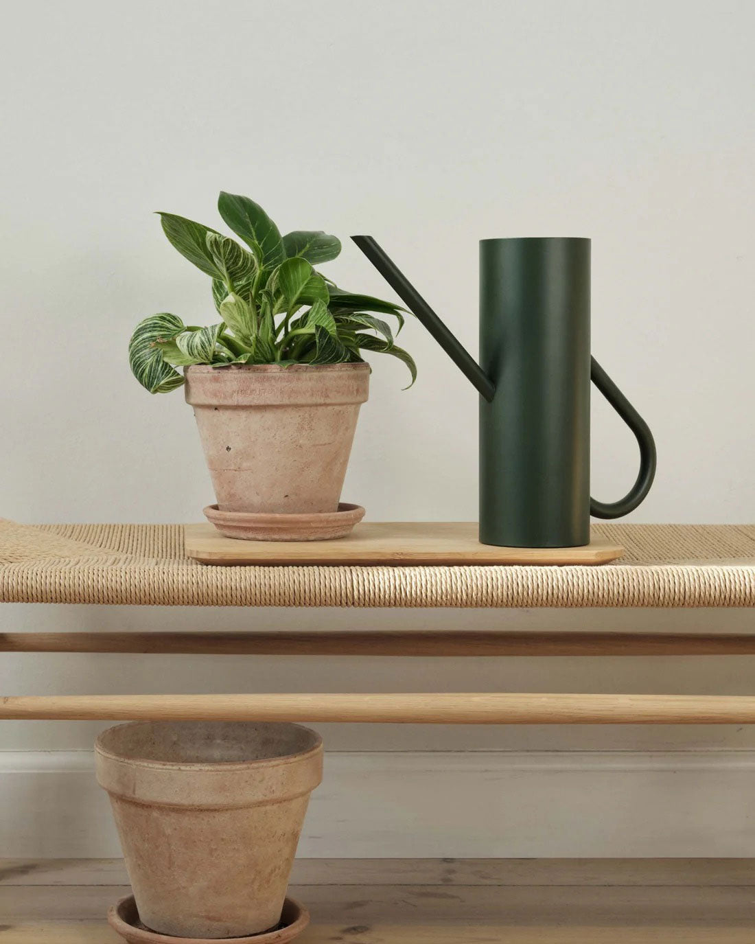 Stelton Bloom Watering Can