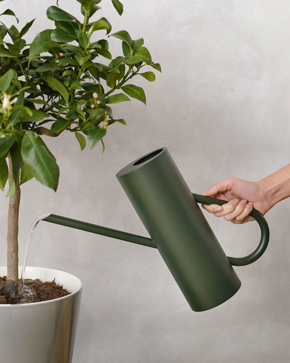 Stelton Bloom Watering Can