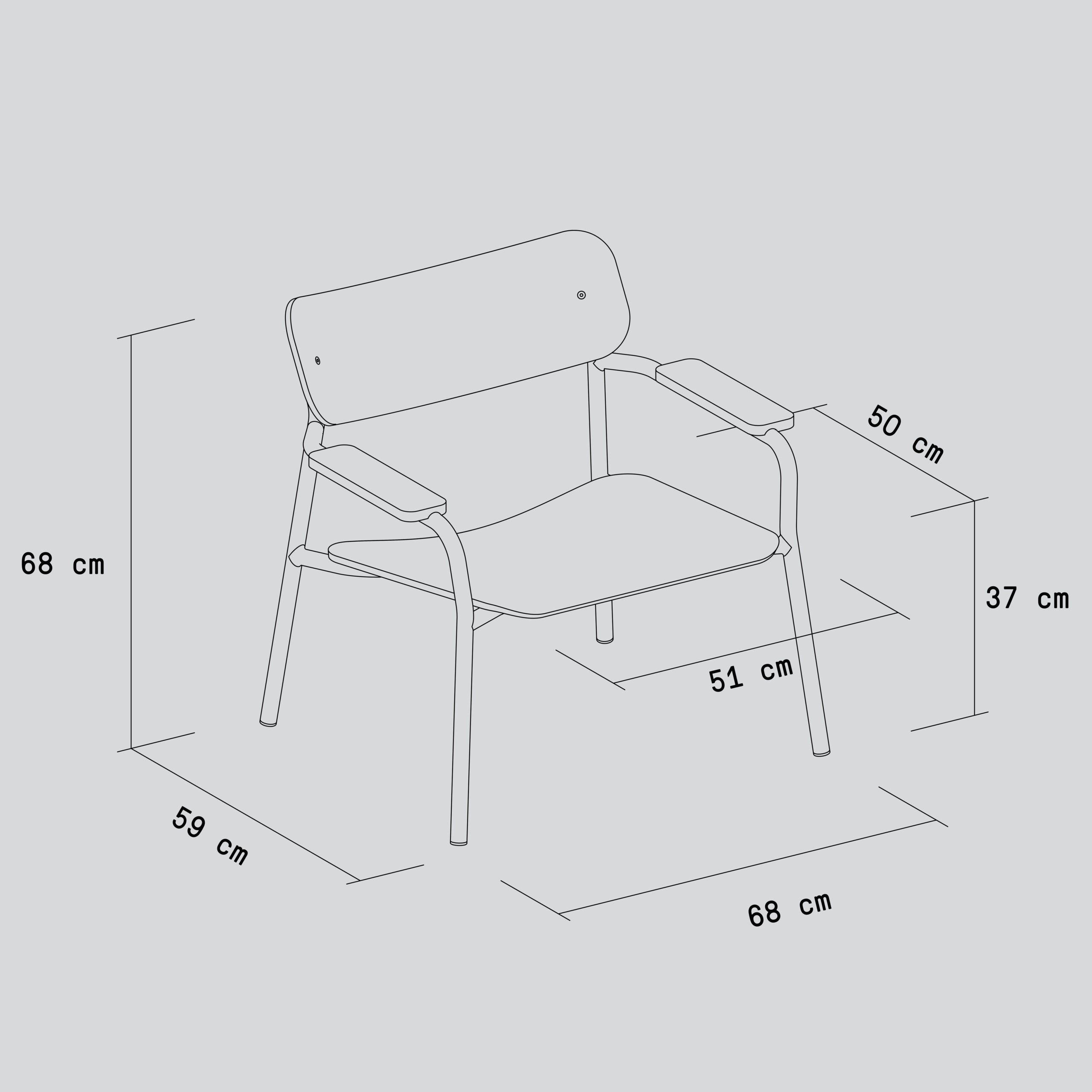 TIPTOE ETUDE lounge chair