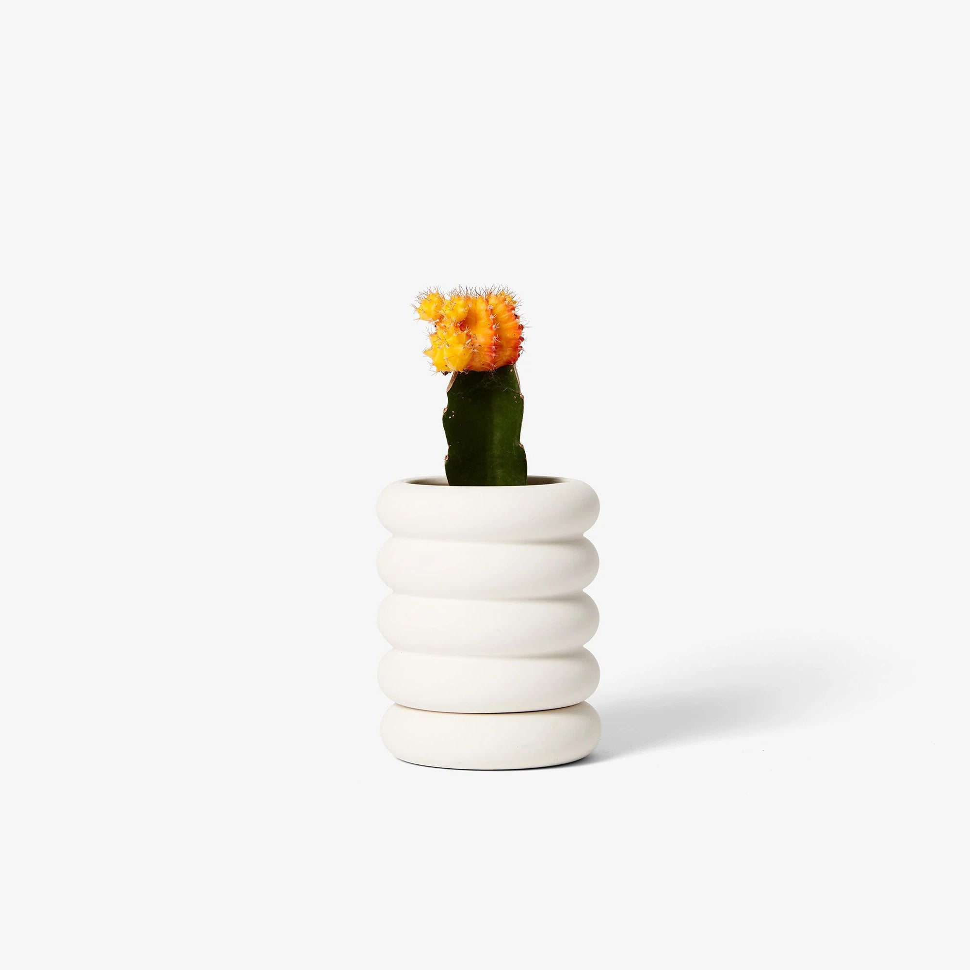 Areaware Stacking Planter in White - Mini-Tall