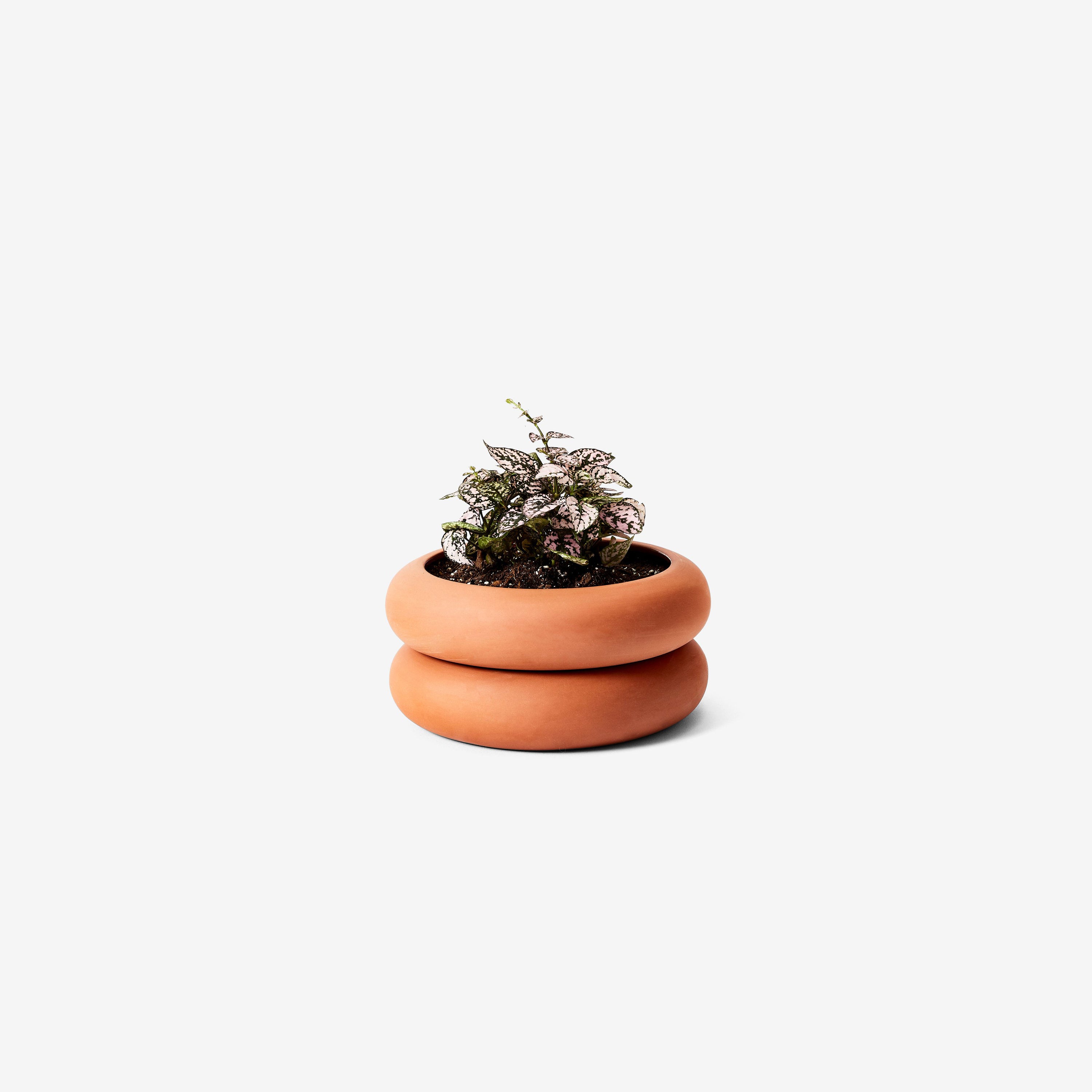 Areaware Stacking Planter