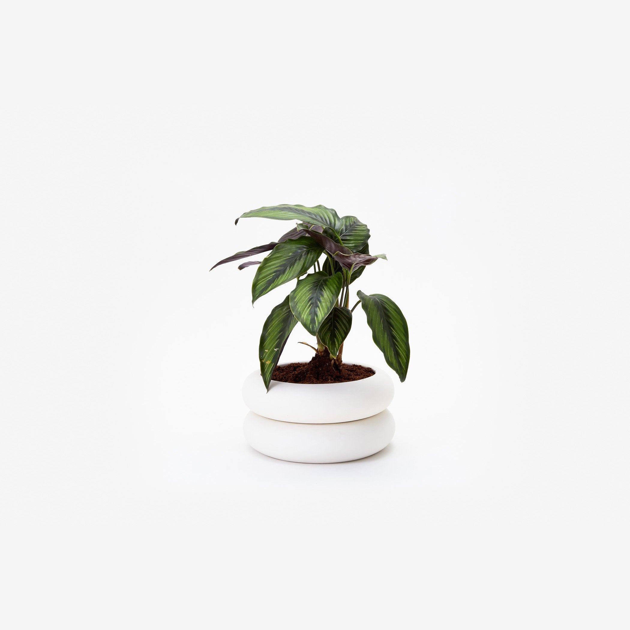 Areaware Stacking Planter