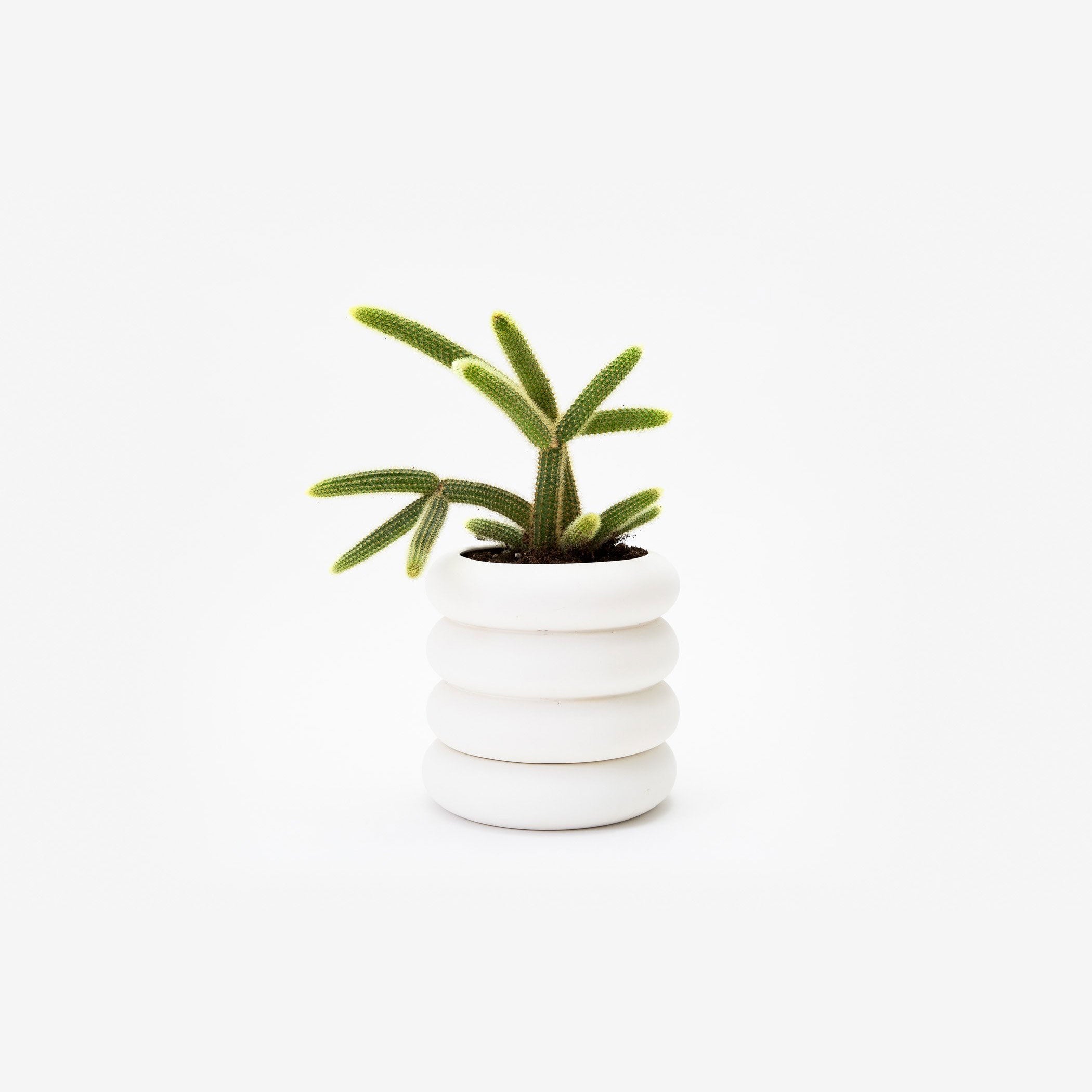 Areaware Stacking Planter