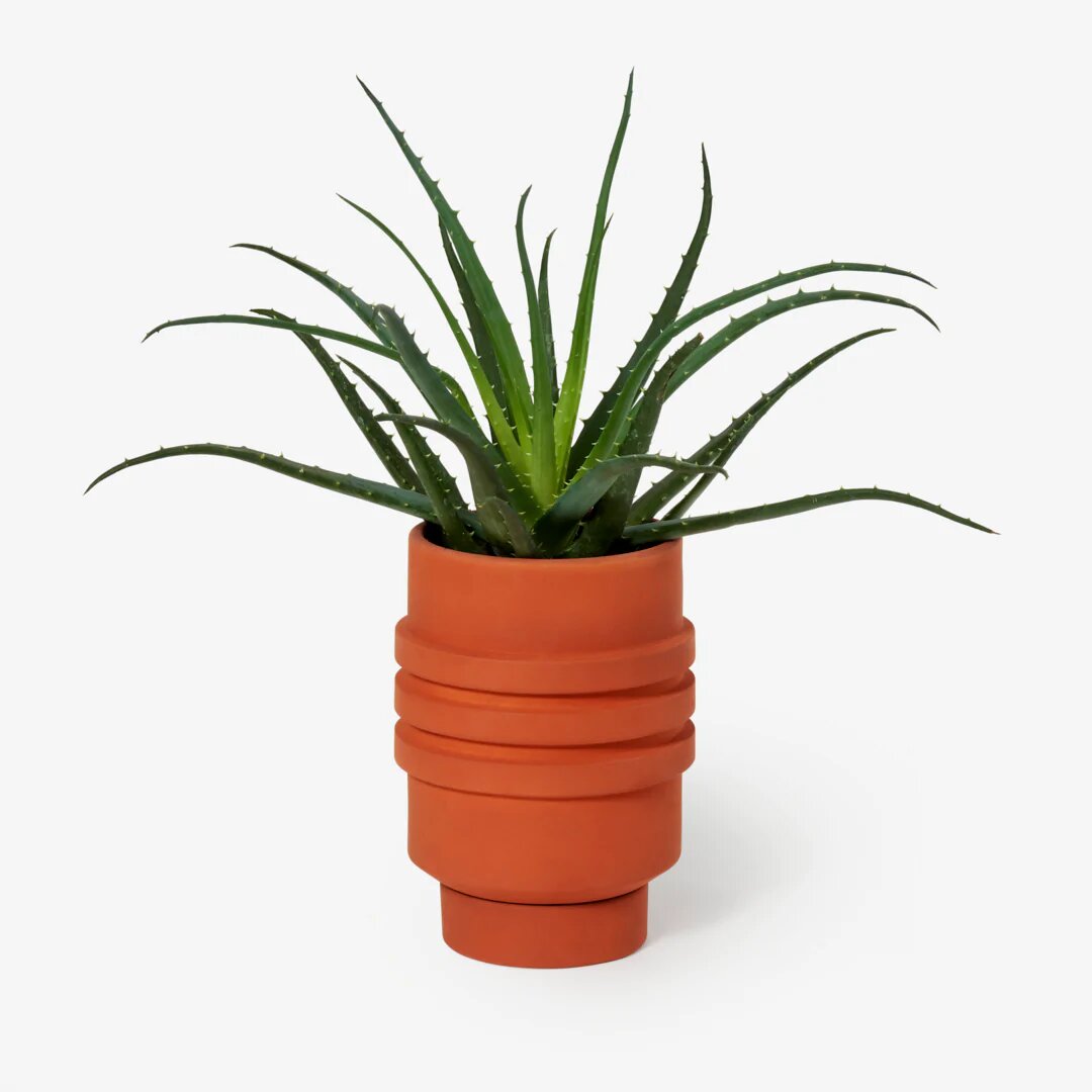 Areaware Strata Plant Vessel - Terracotta
